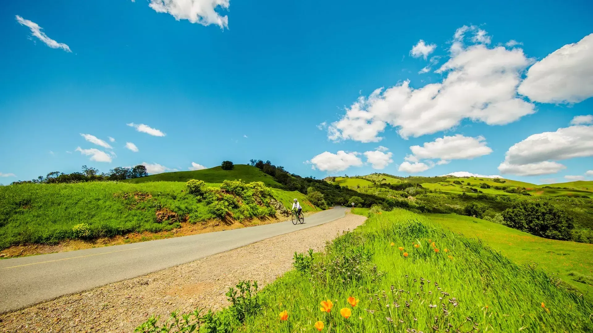 Biking in Concord, CA